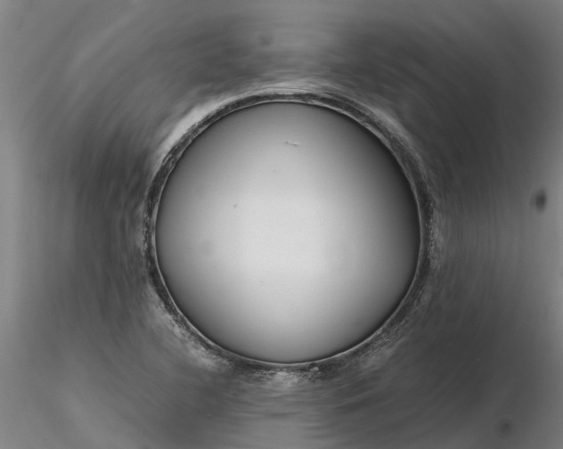 X0000116351412200912151340