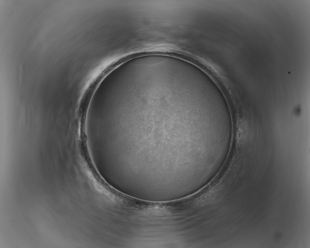 X0000116351414200912151340