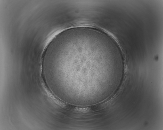 X0000116351415200912151340