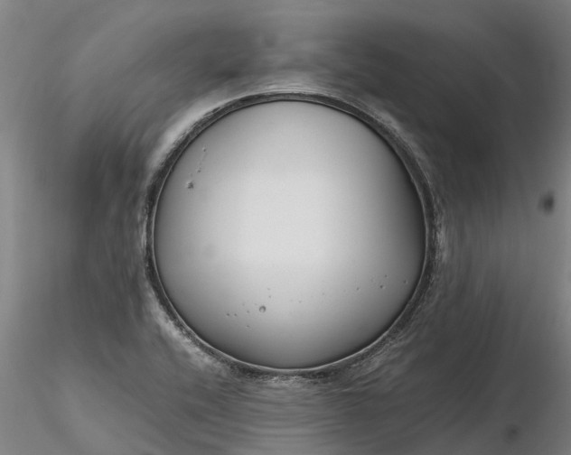 X0000116351416200912151340