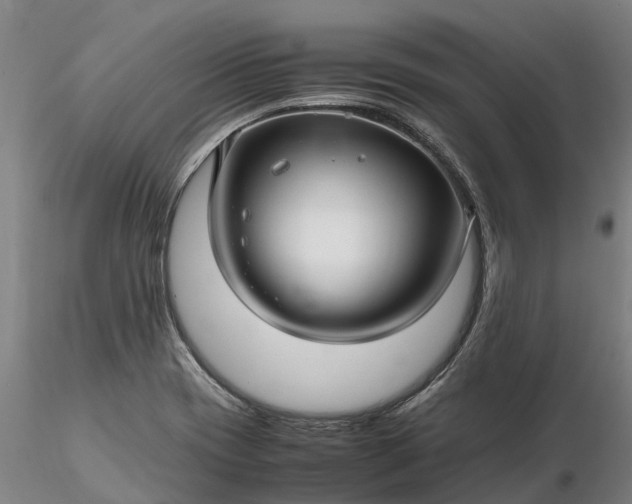 X0000116351417200912151340