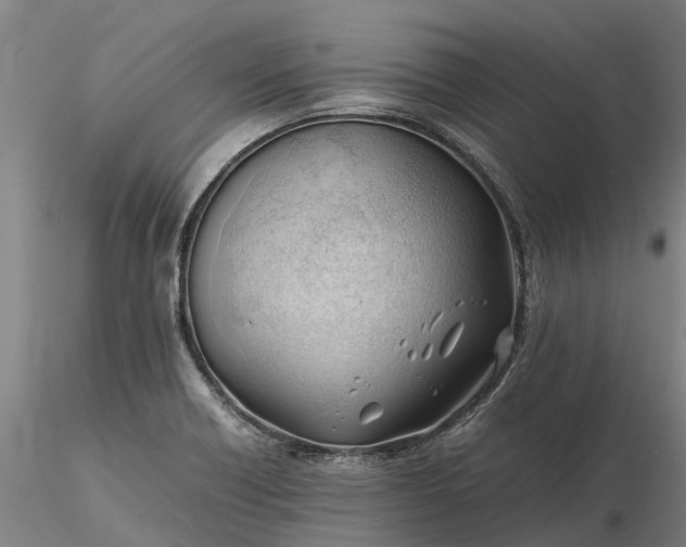 X0000116351418200912151340