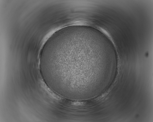 X0000116351419200912151340