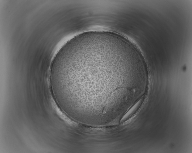 X0000116351421200912151340