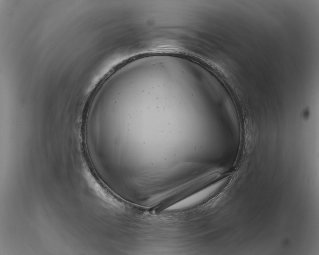 X0000116351422200912151340