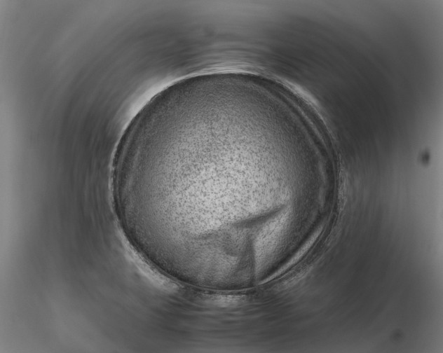 X0000116351423200912151340