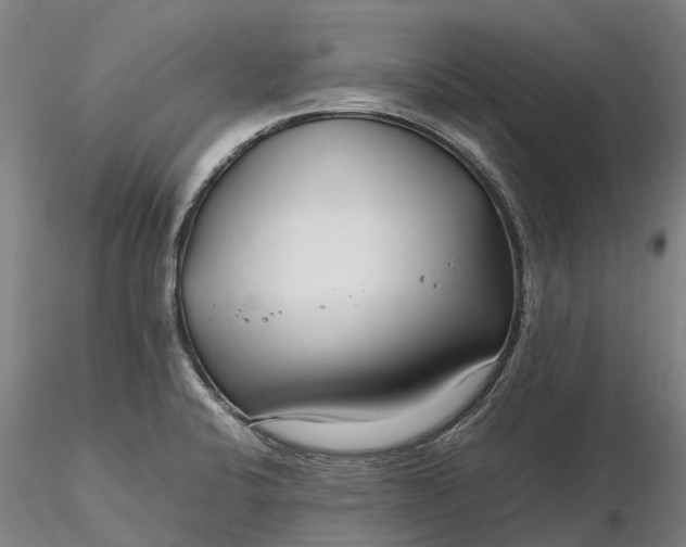 X0000116351424200912151340