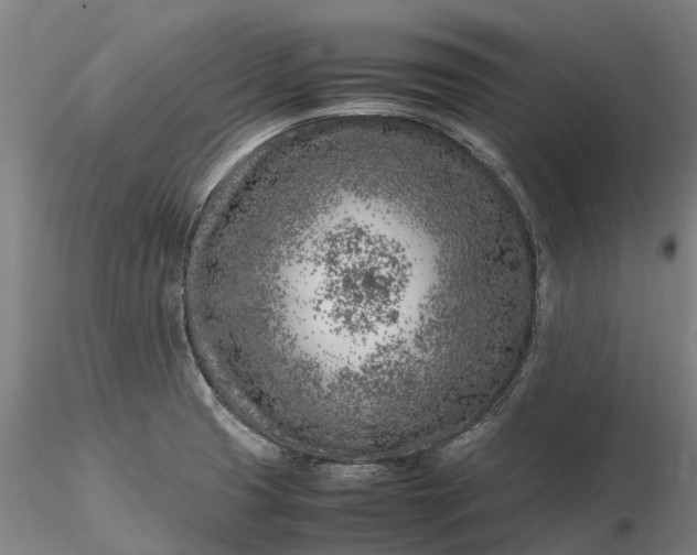 X0000116351425200912151340