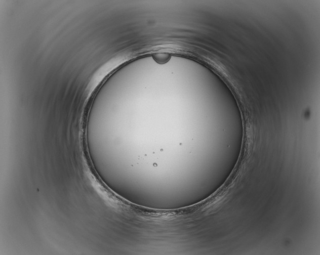 X0000116351426200912151340