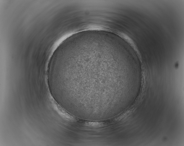 X0000116351427200912151340