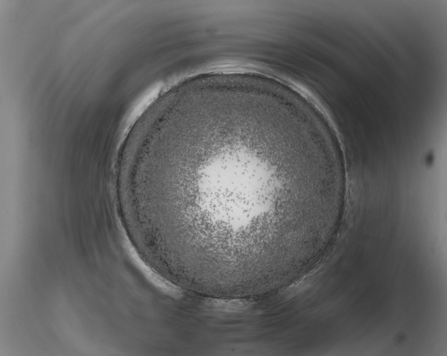 X0000116351429200912151340