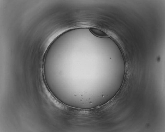 X0000116351431200912151340