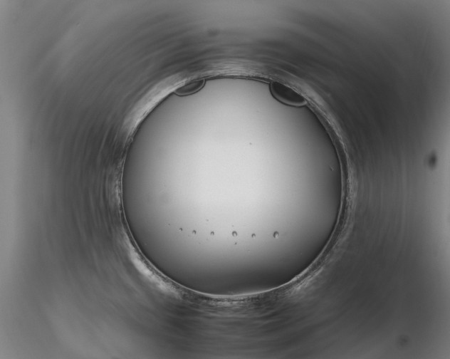 X0000116351433200912151340