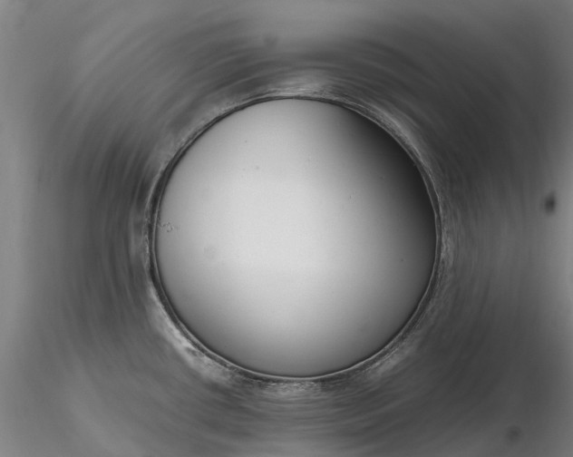 X0000116351434200912151340