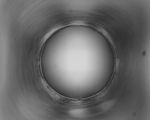 X0000116351435200912151340