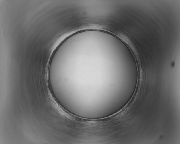 X0000116351436200912151340