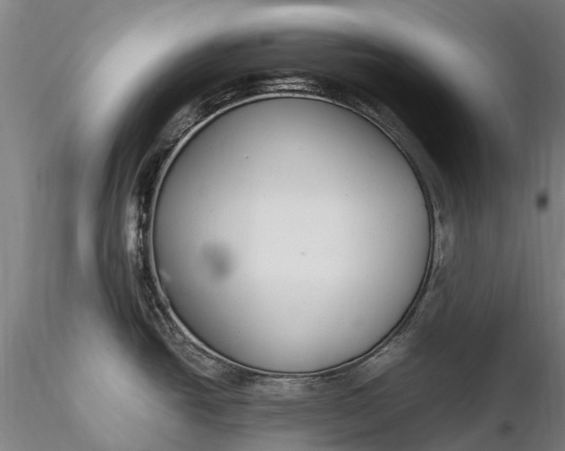 X0000116351438200912151341