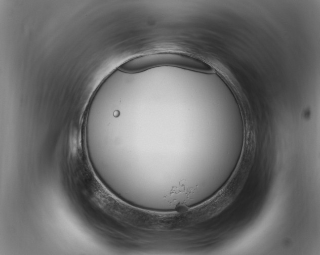 X0000116351439200912151341