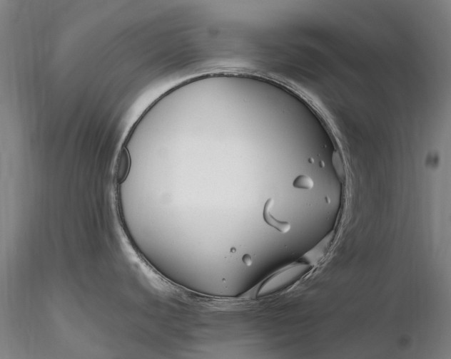 X0000116351440200912151341