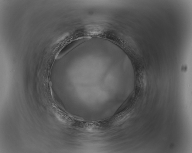 X0000116351441200912151340