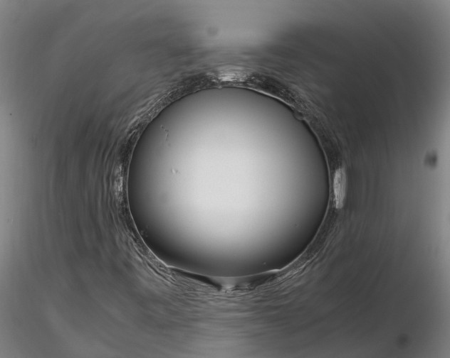 X0000116351443200912151340