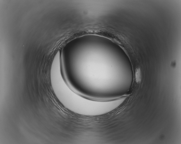 X0000116351444200912151340