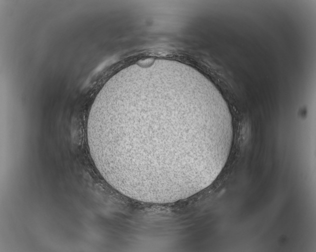 X0000116351446200912151340