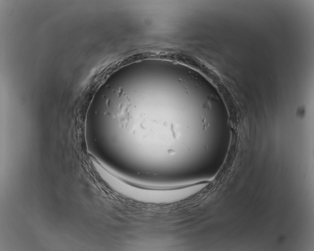 X0000116351447200912151340