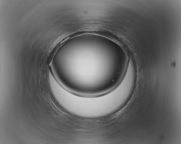 X0000116351449200912151340