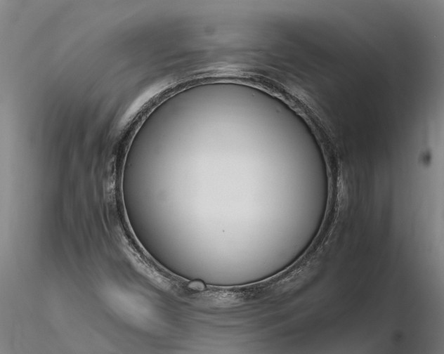 X0000116351450200912151340