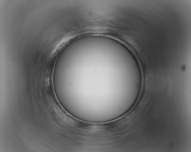 X0000116351451200912151340