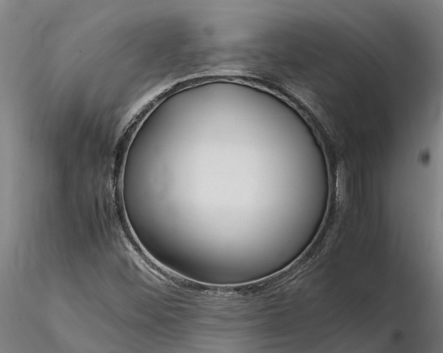 X0000116351452200912151340