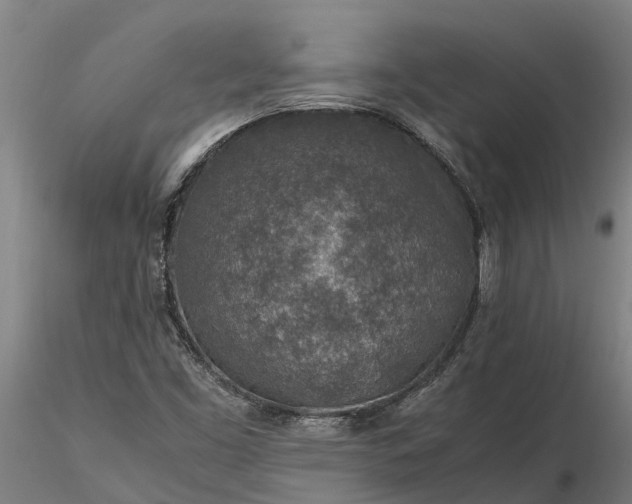 X0000116351453200912151340