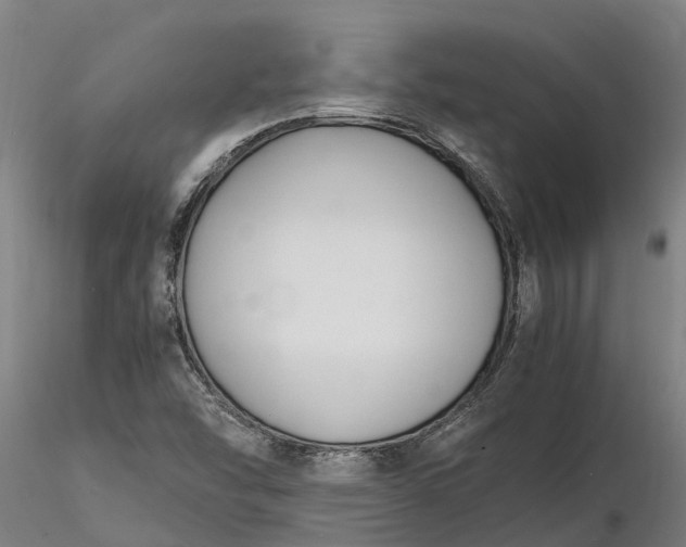 X0000116351454200912151340