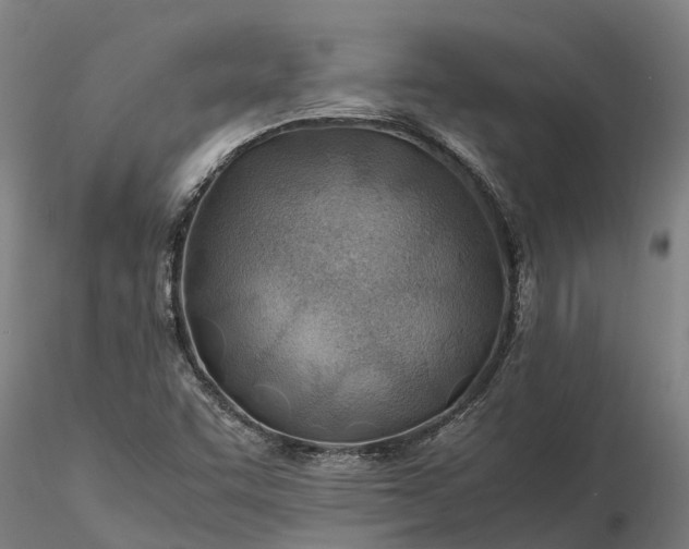 X0000116351455200912151340