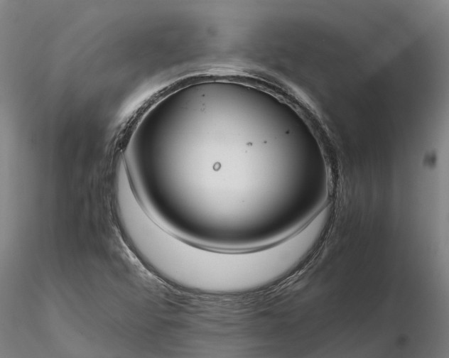 X0000116351456200912151340