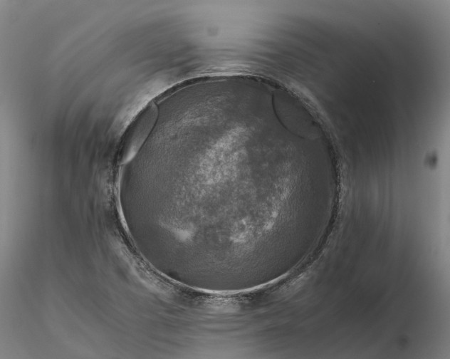 X0000116351457200912151340