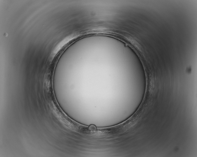 X0000116351458200912151340