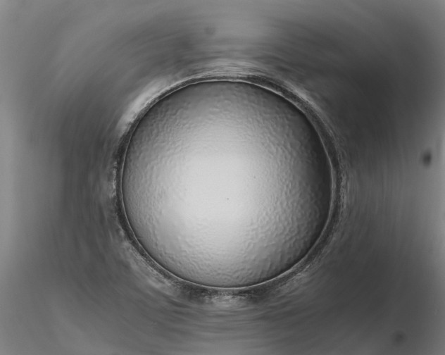 X0000116351459200912151340