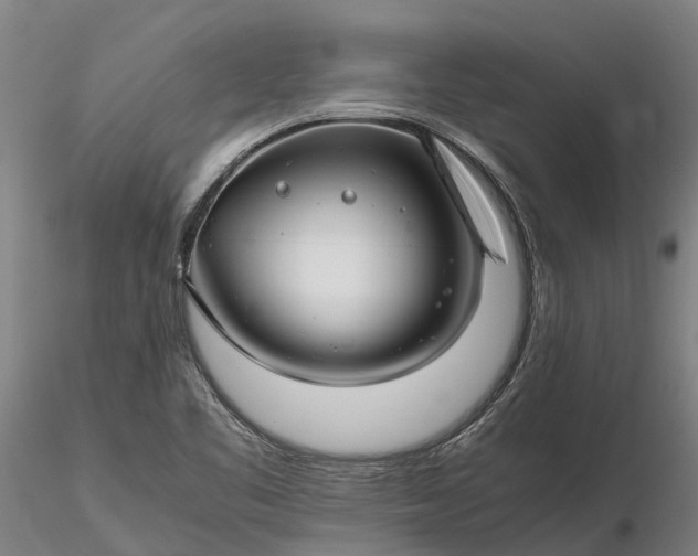 X0000116351461200912151340