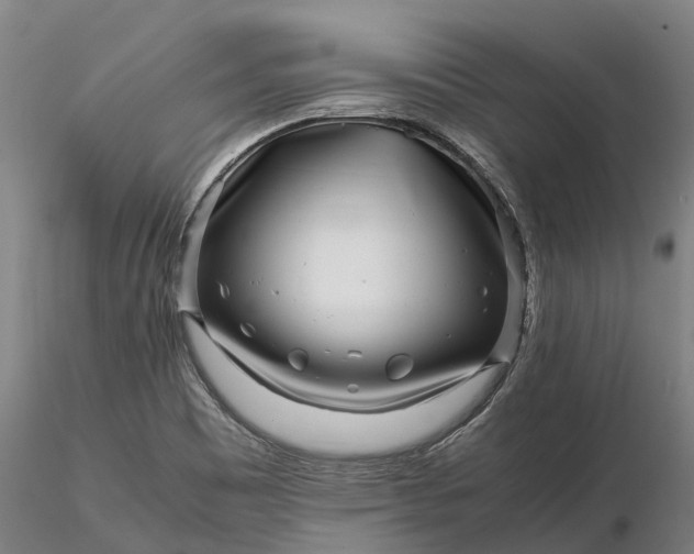 X0000116351465200912151339