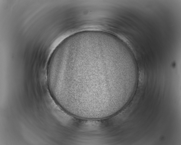 X0000116351466200912151339