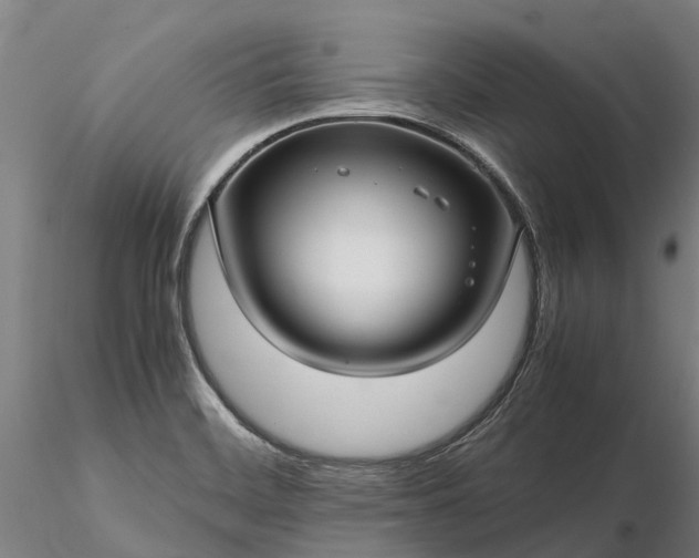 X0000116351468200912151339