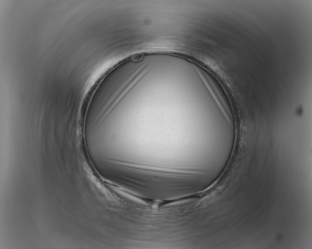 X0000116351469200912151339