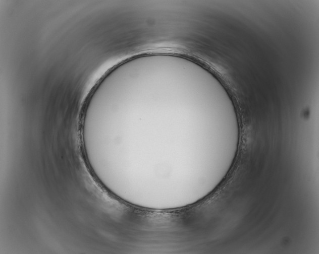 X0000116351470200912151339