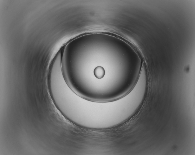 X0000116351472200912151339