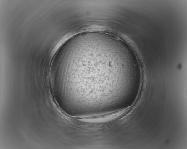 X0000116351473200912151339