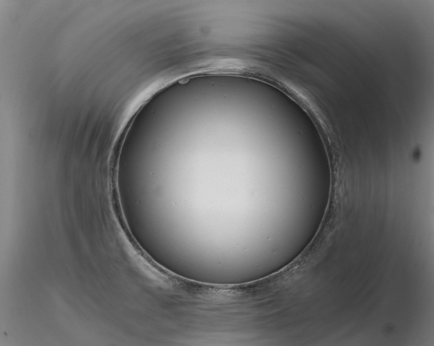 X0000116351475200912151339