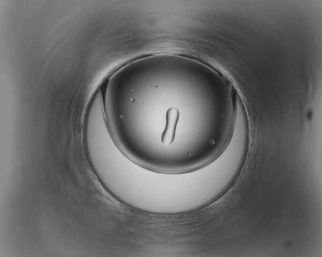 X0000116351477200912151339