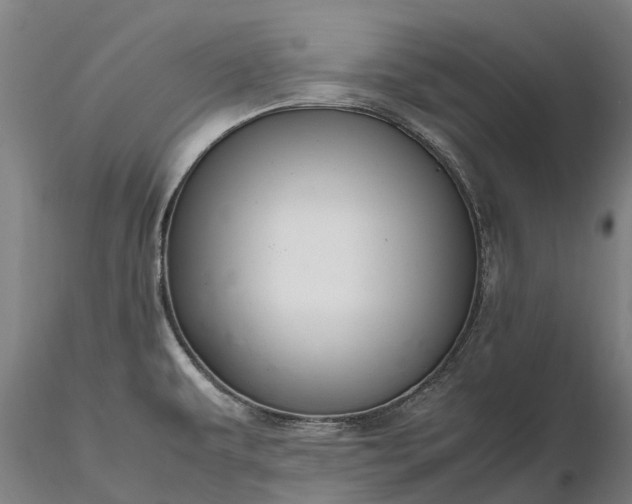 X0000116351479200912151339